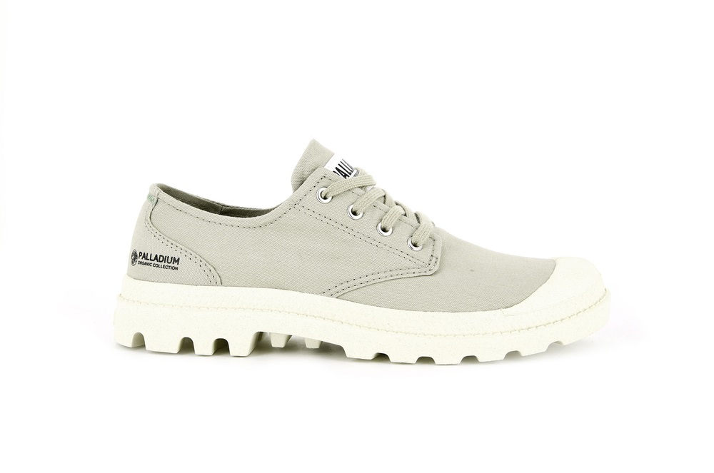 Zapatos Bajos Palladium PAMPA OXFORD ORGANIC II Hombre Eucalyptus | Chile-65379