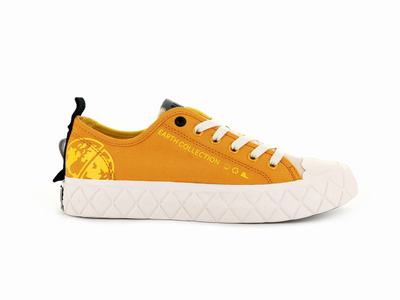 Zapatillas Palladium PALLA ACE ORGANIC METRO Hombre Moutarde | Chile-80617